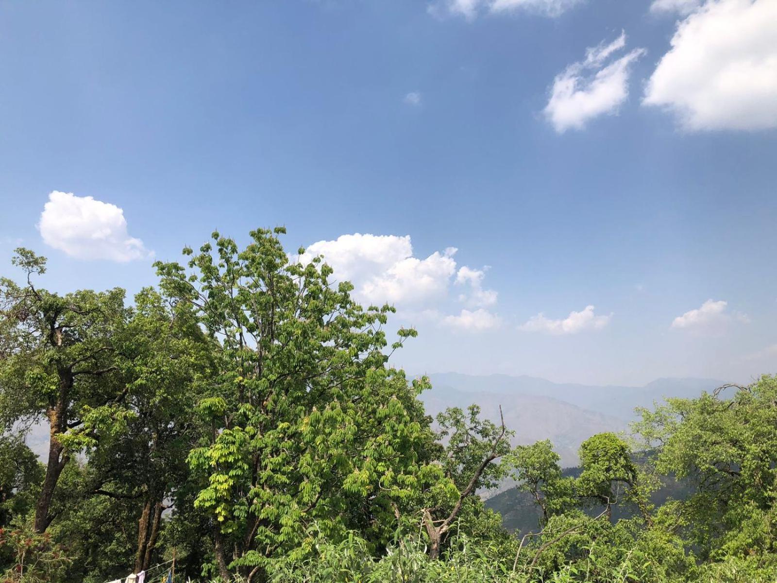 Jindal Home Stay มัสซูรี ภายนอก รูปภาพ